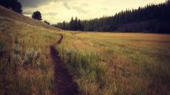 Building a Blog for Your E-Commerce Store: Why It Matters