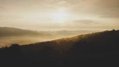 Why Headless Commerce is the Future