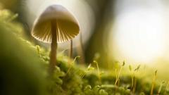 Securing Your Magento 2 Store: Essential Practices for 2026