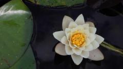 The Rise of Composable Commerce: Building Your Stack Piece by Piece