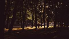 E-Commerce Email Marketing Automation: Flows That Convert