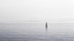 GraphQL vs REST: Choosing the Right API for Your Store