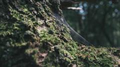 The Complete Guide to Magento Caching