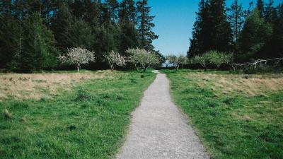 Setting Up PayPal and Stripe