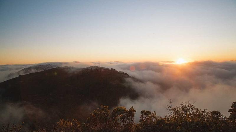 Flash Sale Optimization Techniques