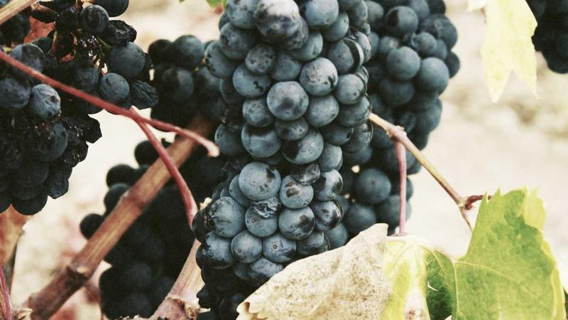 Managing Subcontractors: Communication That Prevents Disputes