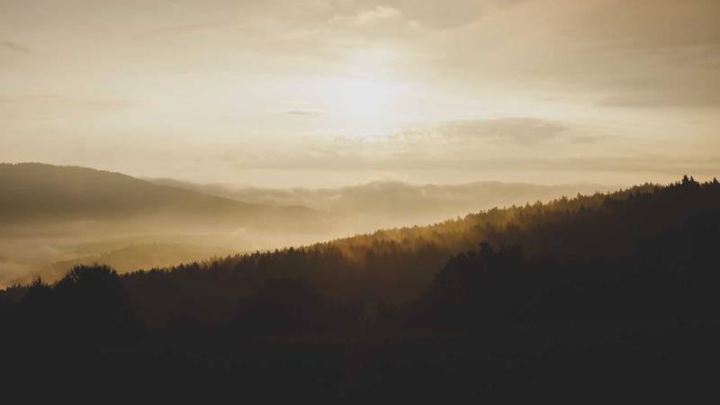 Why Headless Commerce is the Future