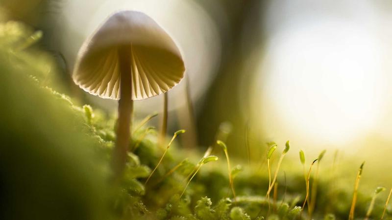 Securing Your Magento 2 Store: Essential Practices for 2026