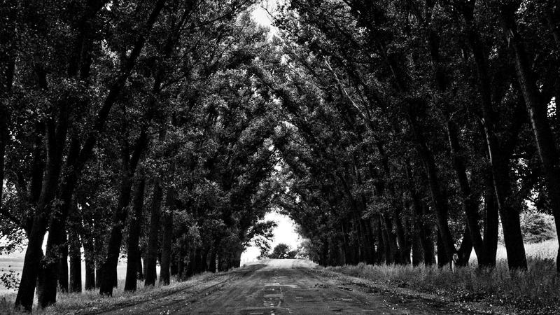 JavaScript Performance Auditing for E-Commerce Storefronts