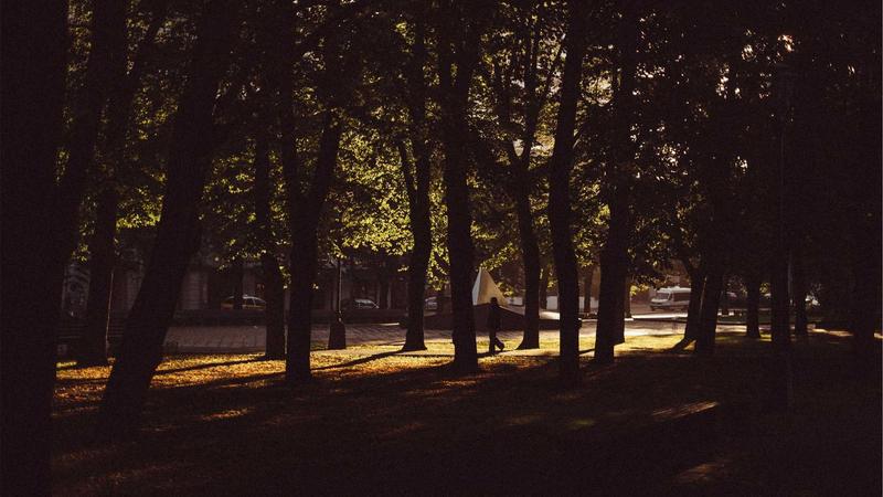 E-Commerce Email Marketing Automation: Flows That Convert