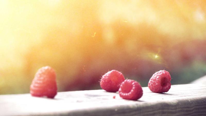 Sustainable Building Materials: What Actually Works in Practice