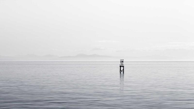 GraphQL vs REST: Choosing the Right API for Your Store