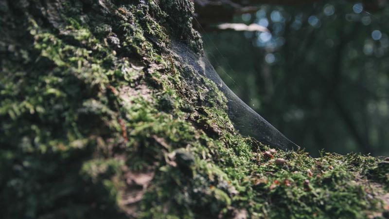 The Complete Guide to Magento Caching